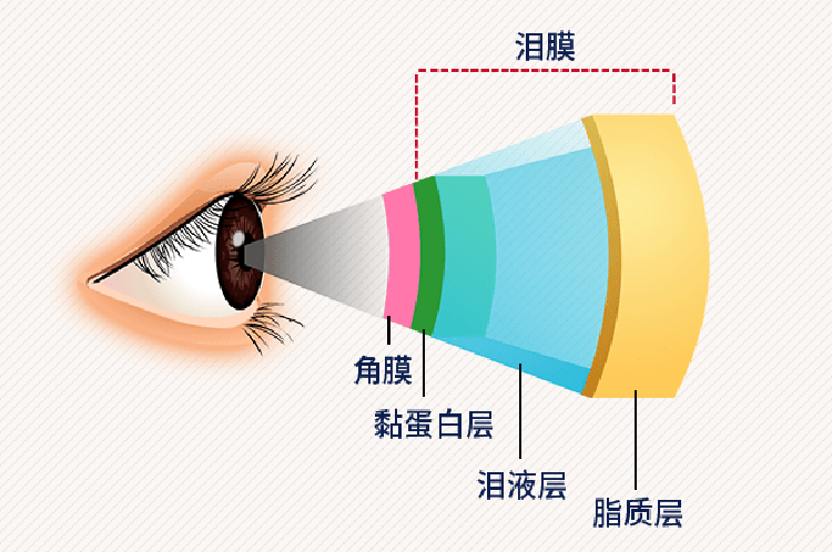健康科普|干眼不是“小毛病”！眼科專家教您科學(xué)“破局”